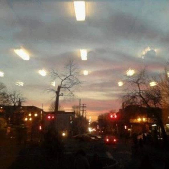 Meet your Posher, Fanny - Picture 1 of 1